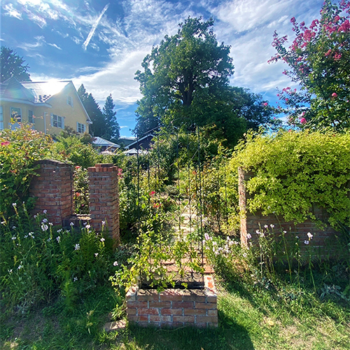 garden03 青森 結婚指輪 婚約指輪 金正堂本店