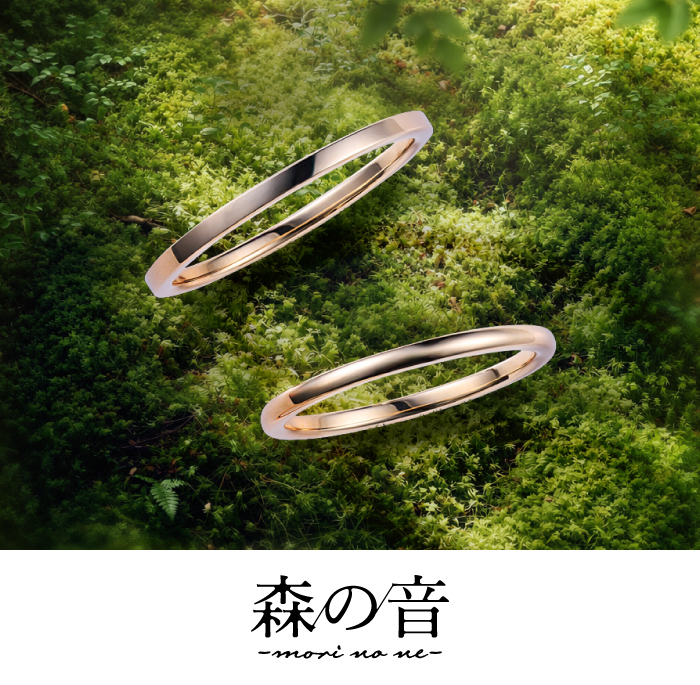 森の音