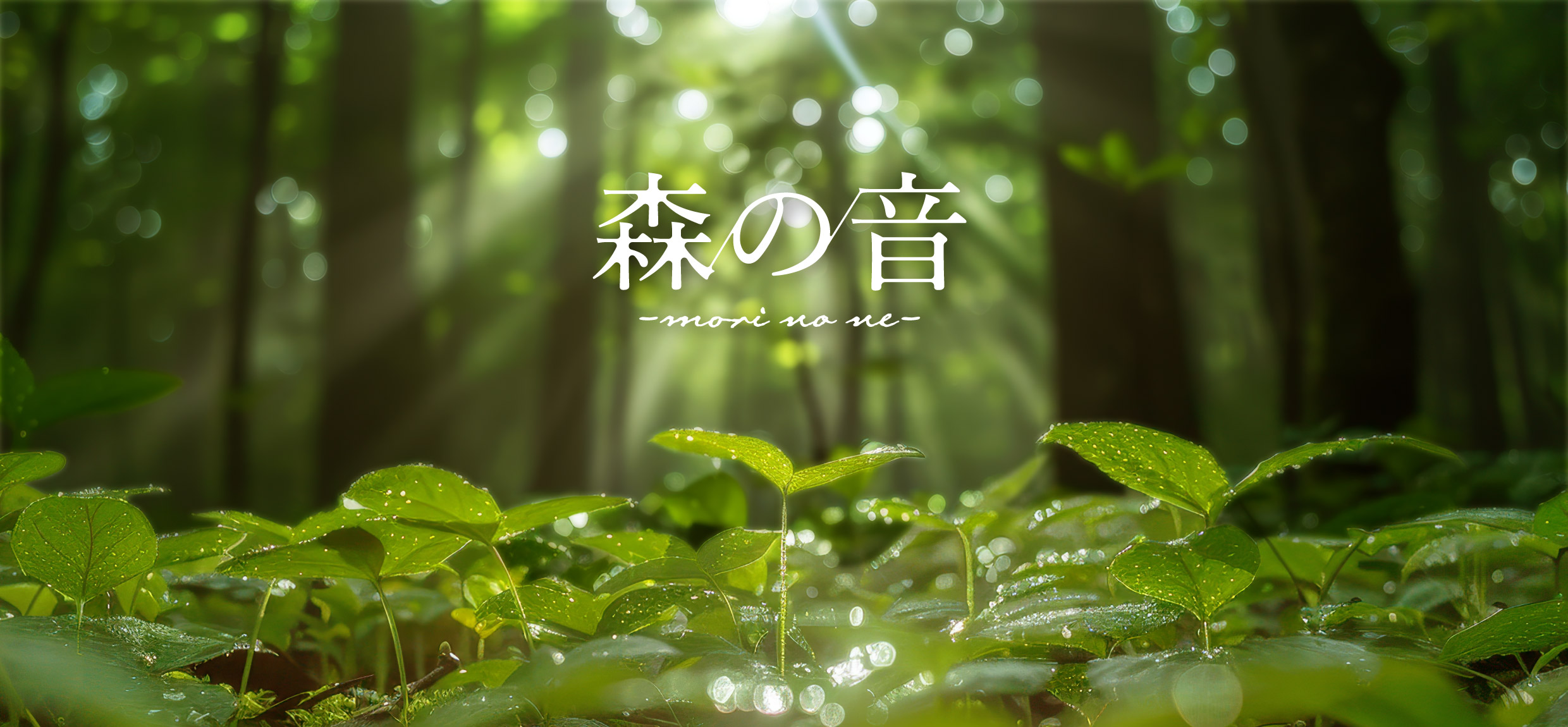 森の音