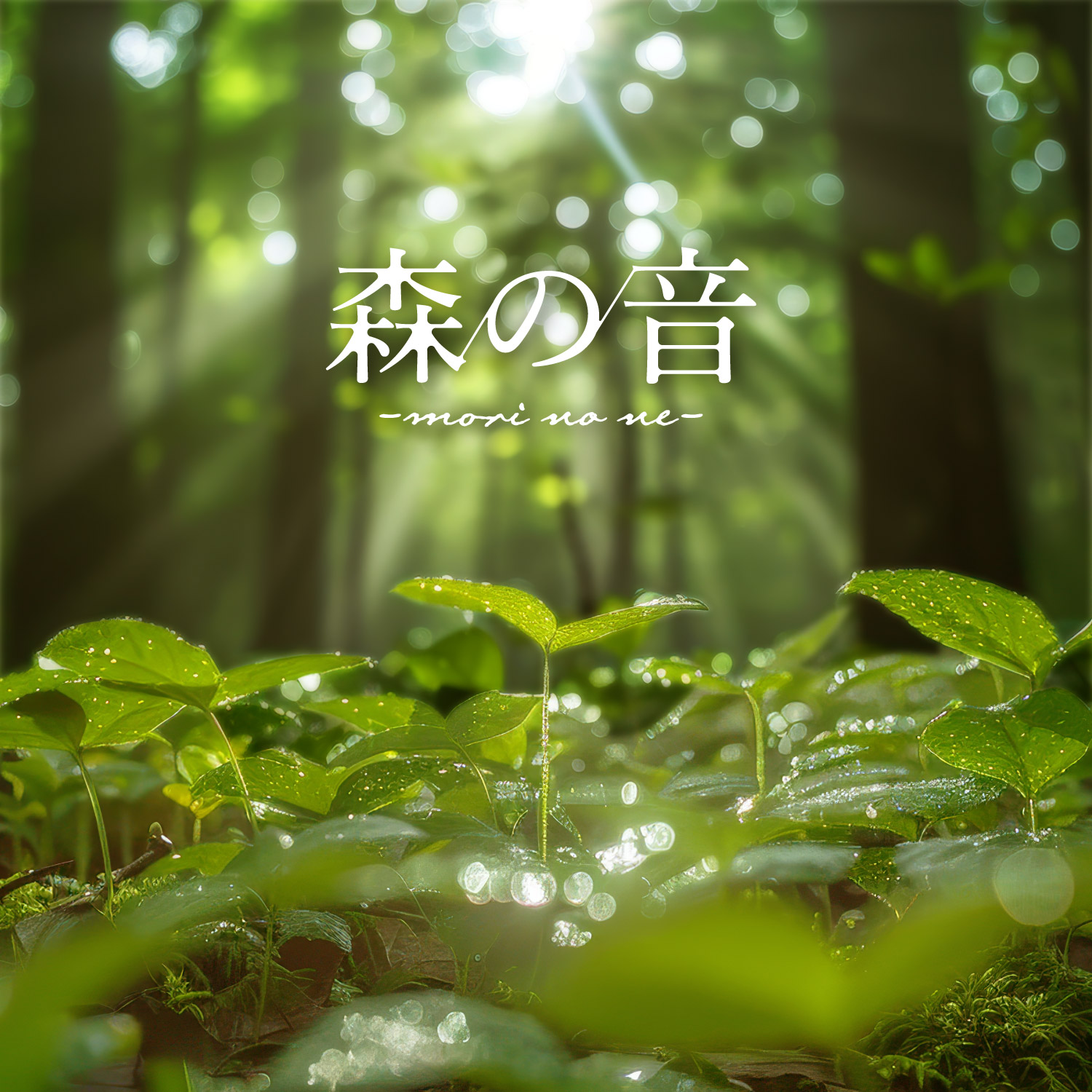 森の音