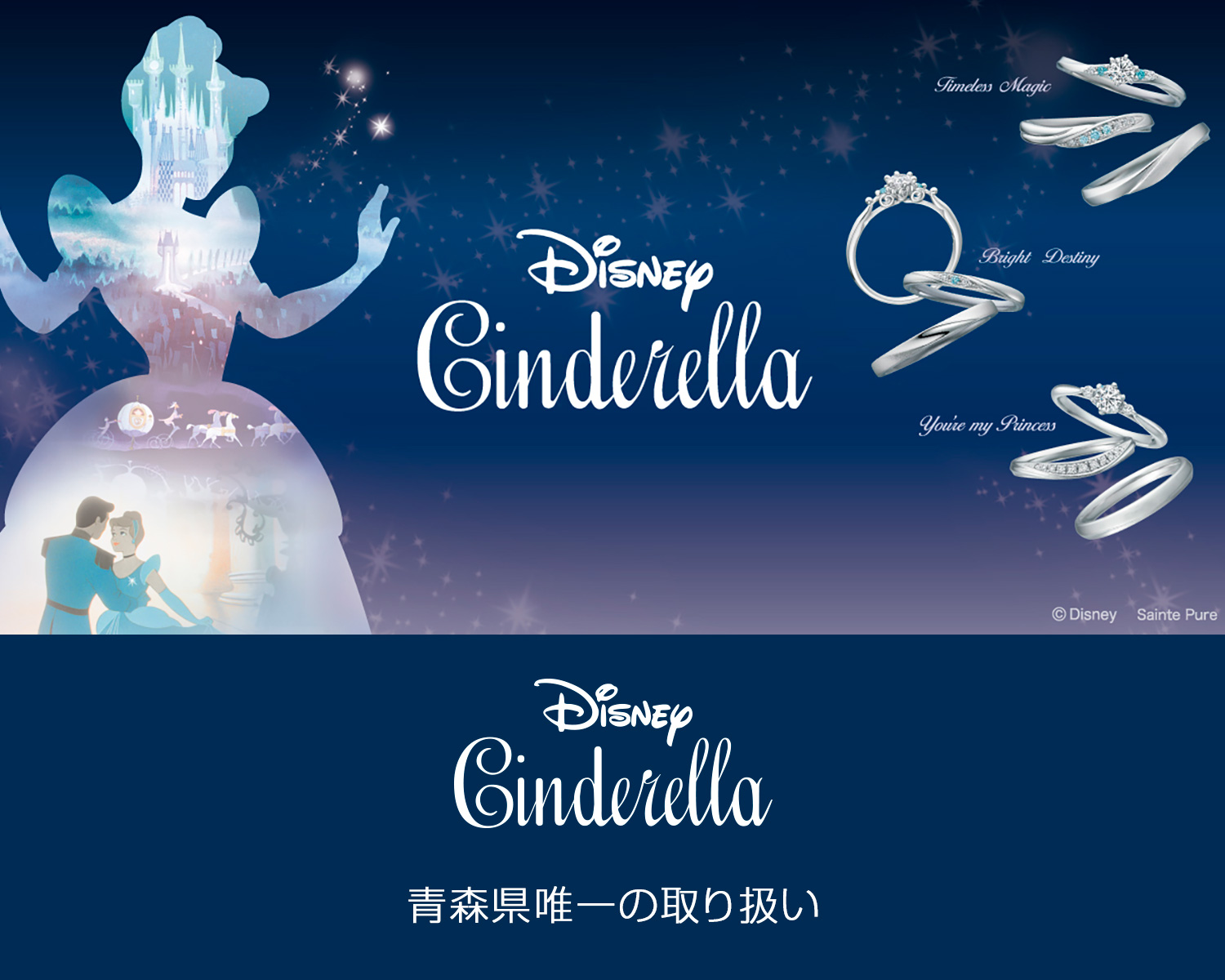Disney Fiar ディズニーフェア