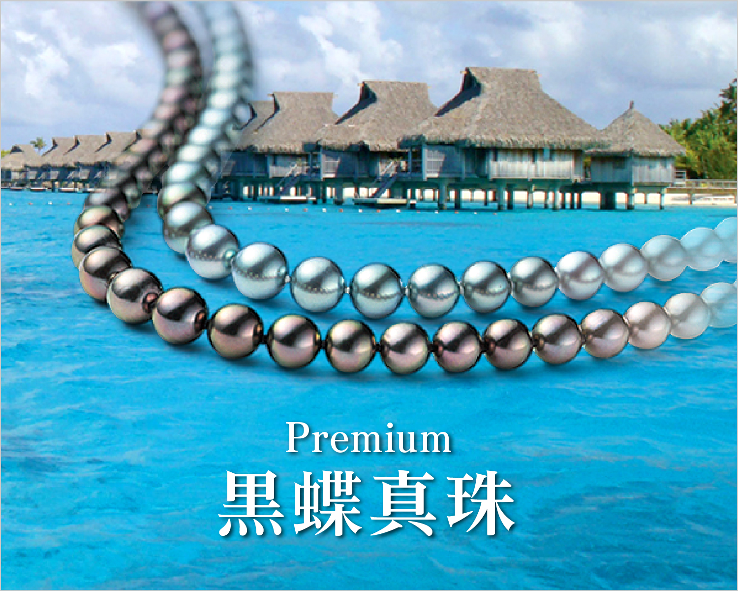 黒蝶真珠