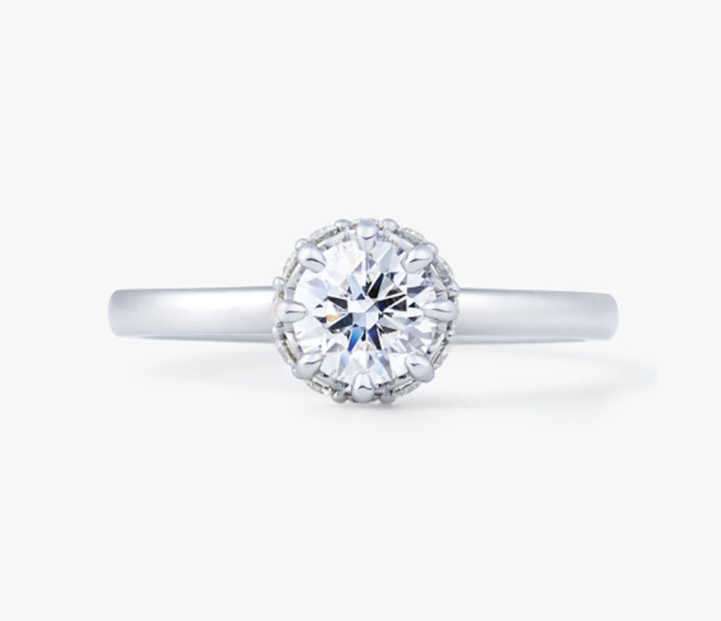 Rose Classique（ローズクラシック）Branche（ブランシュ）